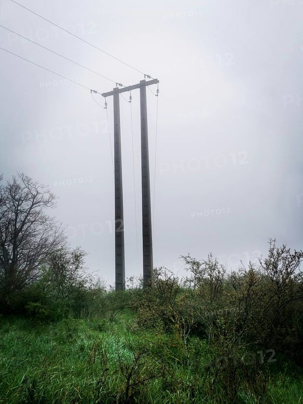 Two tall power poles stand prominently in a fog-draped landscape, surrounded by lush greenery and low shrubs, creating a tranquil atmosphere in the early morning mist. France