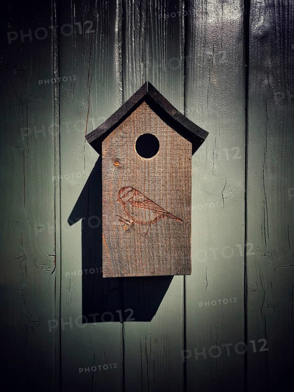 A wooden birdhouse, featuring a carved bird design, is suspended from a rustic gray wall. This quaint structure creates a soothing ambiance in the serene outdoor environment