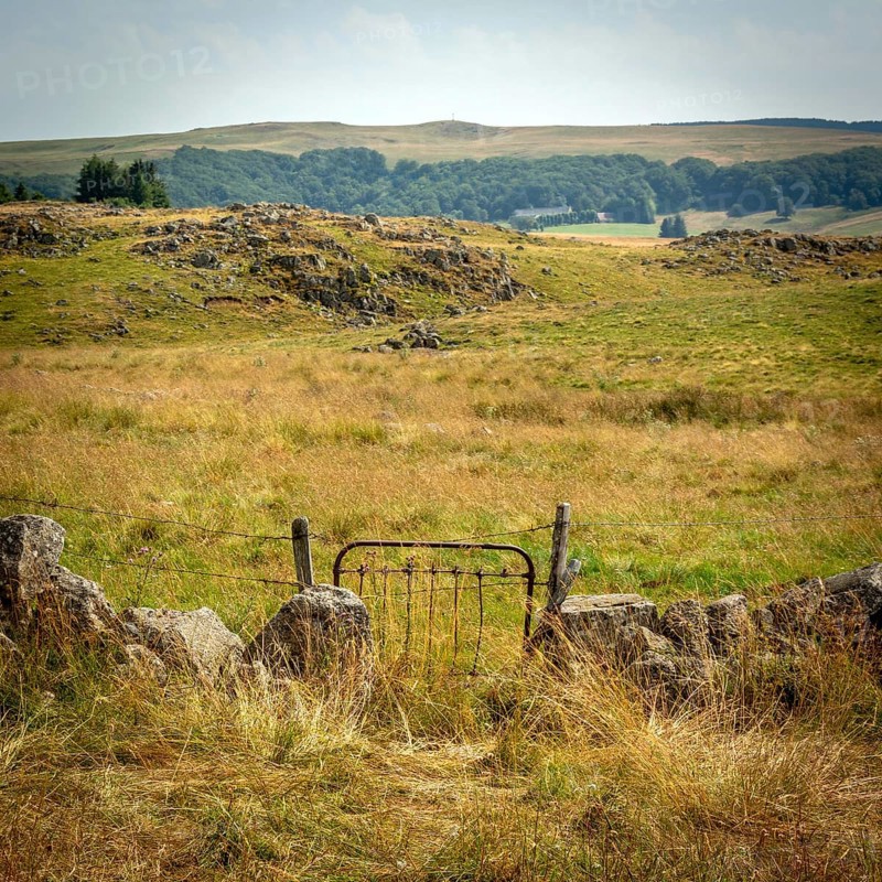 A rustic gate stands open, inviting visitors into a picturesque countryside landscape. Golden grass stretches across rolling hills under a clear sky, creating a serene and tranquil atmosphere. Aubrac plateau. Lozere. Occitanie. France