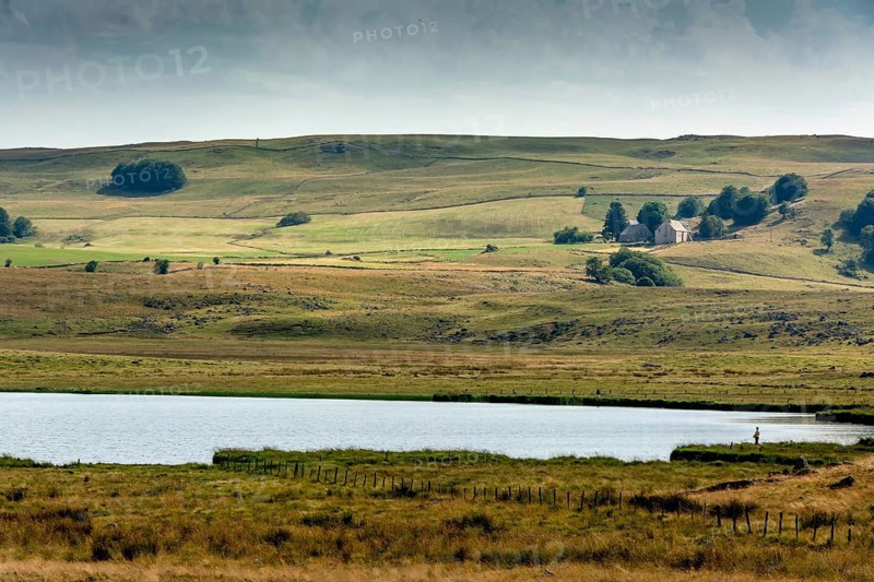 A tranquil view features a calm body of water bordered by lush green grass, rolling hills in the background, and a few scattered trees. The overcast sky adds depth to the serene atmosphere. Aubrac plateau. Lozere. Occitanie. France