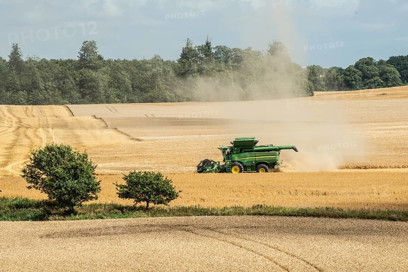 Landscape with threshing of grain with combine harvester at Ystad, Skåne county, Sweden, Scandinavia