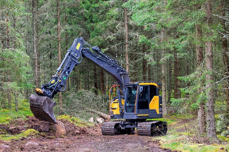 Excavator digging at a road construction site in a coniferous forest