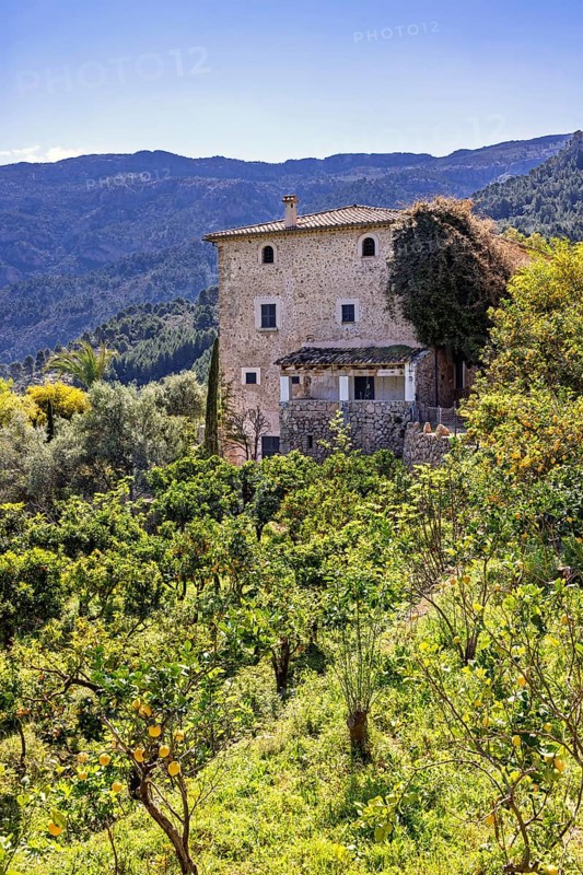 Old house by a lemon orchard on a slope in the mountains a sunny summer day, Mallorca, Spain