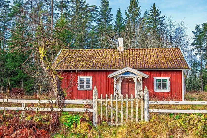 Red old wooden cottage with a white wooden fence and a gate to the garden by the forest in autumn, Sweden