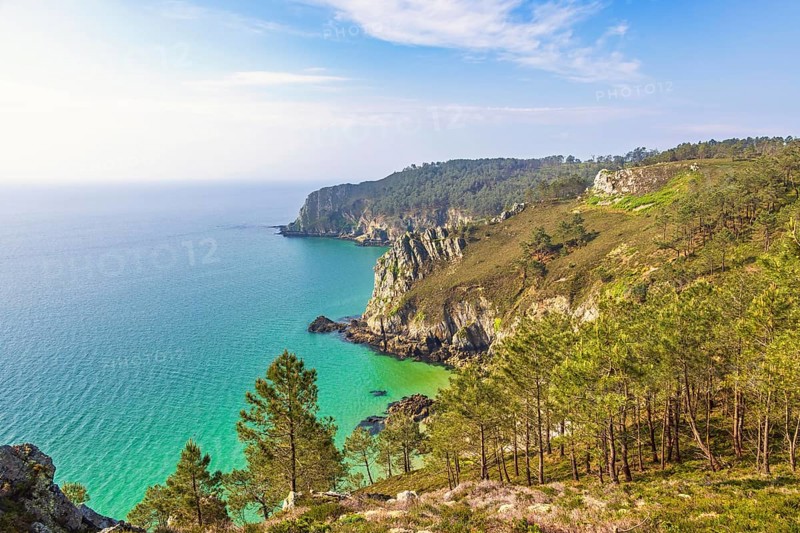 Sea view with the horizon at a rocky coastline with a pine forest a sunny summer day, Crozon peninsula, Bretagne, France