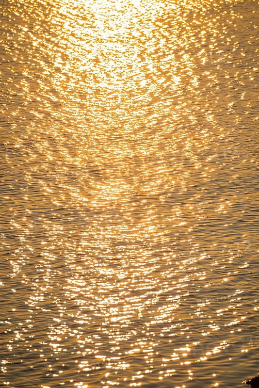 Olden sunlight is reflected by the water surface of the North Sea, natural glow, glow, highlights on small waves, reflection, light reflection, evening light, sunset, atmosphere, atmospheric, illuminated, bright, waters, no people, light, light reflections, light reflection, light reflection, deserted, nobody, reflection, mirror, reflection, mood, atmospheric, harbour, island dune, Heligoland, Schleswig-Holstein, North Sea, Germany