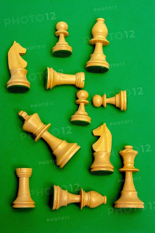 A group of fine wooden chess pieces is displayed, showcasing the knight, pawn, rook, bishop, queen, and king. The vibrant green background adds contrast to the classic design