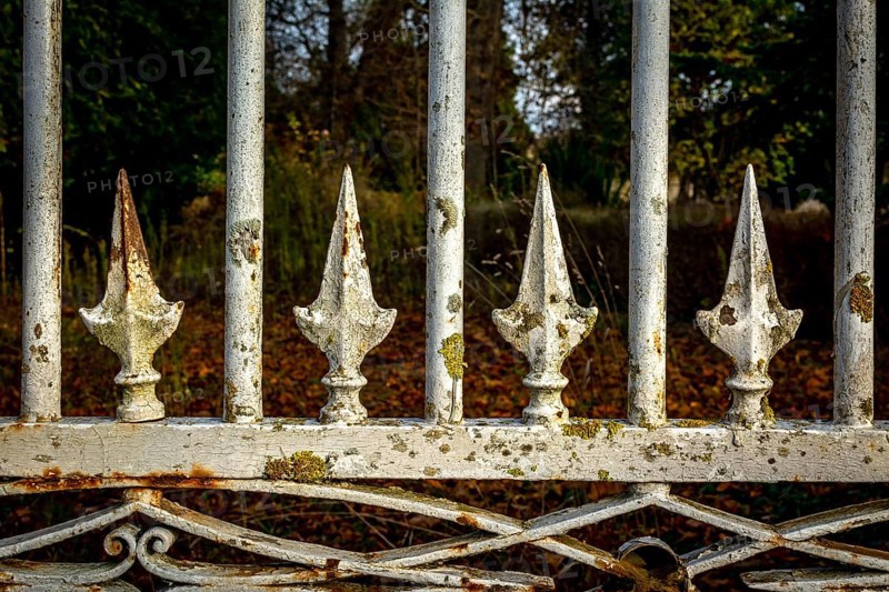 Detailed view of an ornamental iron fence featuring unique spire designs, set in a peaceful garden filled with autumn leaves and greenery, highlighting intricate craftsmanship and weathering. France