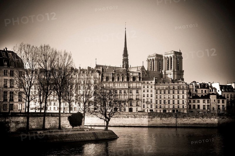The exterior of Notre Dame Cathedral is prominently displayed along the Seine River in Paris, framed by winter-bare trees and classic buildings. The atmosphere is serene and timeless. France
