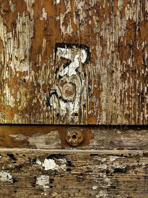 A close-up view reveals a weathered wooden surface with various textures and peeling paint. The natural lighting enhances the intricate patterns created by age and usage