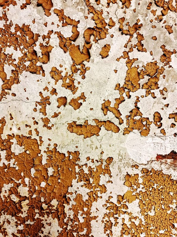 The surface displays an intricate pattern of peeling paint in warm earthy tones, showcasing signs of aging and weathering typical of urban environments