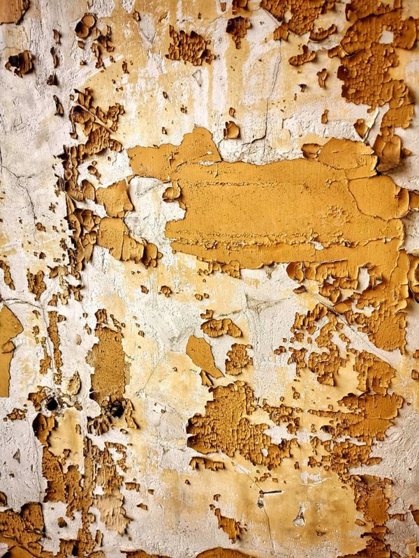 This textured wall features layers of peeling paint in warm yellow and beige tones, revealing the underlying material. The wear and age show a history of weathering and neglect
