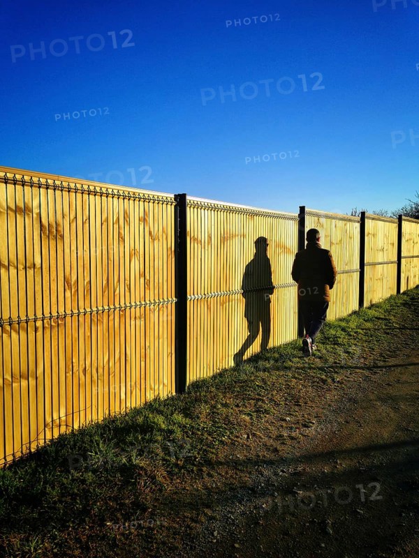 A solitary figure strolls beside a tall wooden fence on a well-worn path. The sun casts elongated shadows, highlighting the serene atmosphere of the late afternoon