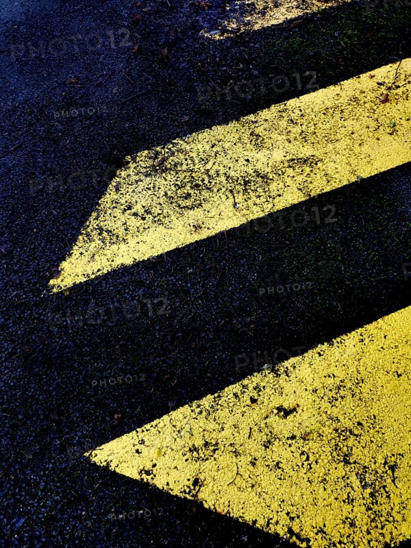 Bright yellow chevrons stand out against a dark asphalt surface, blending nature and urban elements as fallen leaves gather in the cracks, suggesting a forgotten path