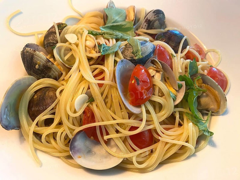 Plate of spaghetti vongole, clams, cherry tomatoes, garlic, Food, Stuttgart, Baden-Württemberg, Germany