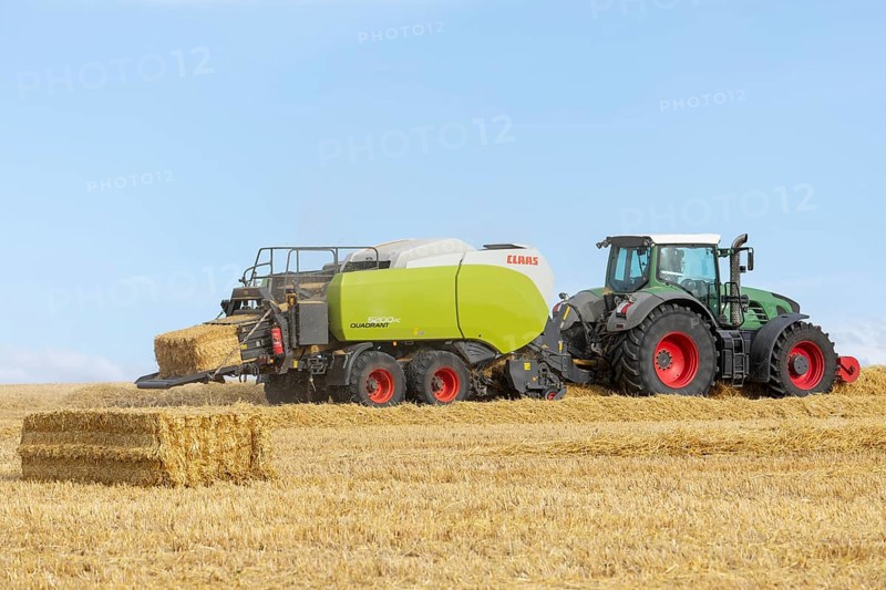 Combine harvester harvesting on a ripe grain field