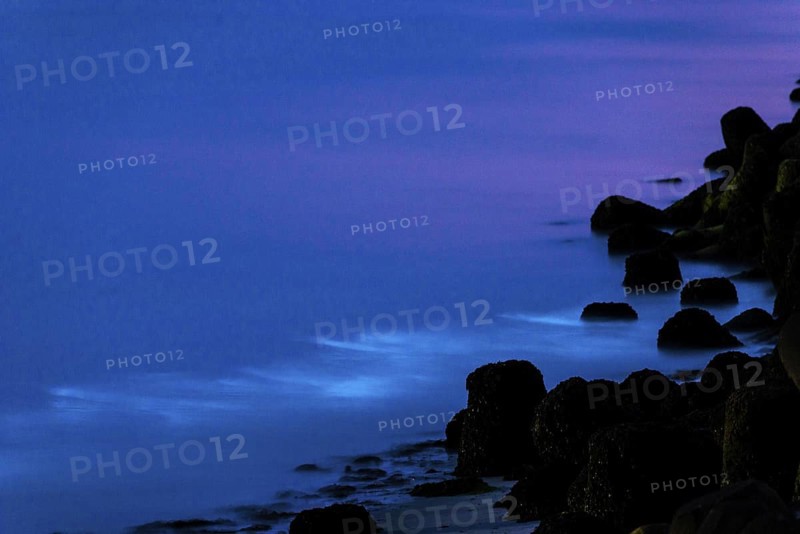 Sea glow, caused by microorganisms, marine luminescence (Noctiluca scintillans, Noctiluca miliaris), blue glowing waves at night, groyne, tetrapod, dinoflagellate, Noctilucaceae, light phenomenon, sea, bioluminescence, phenomenon, mystical transition from blue to violet, natural spectacle, mysterious, algae, algae, night, night shot, summer, long exposure, experience, nature experience, natural phenomenon, fascinating, island dune, Hegoland, Schleswig-Holstein, North Sea, Germany