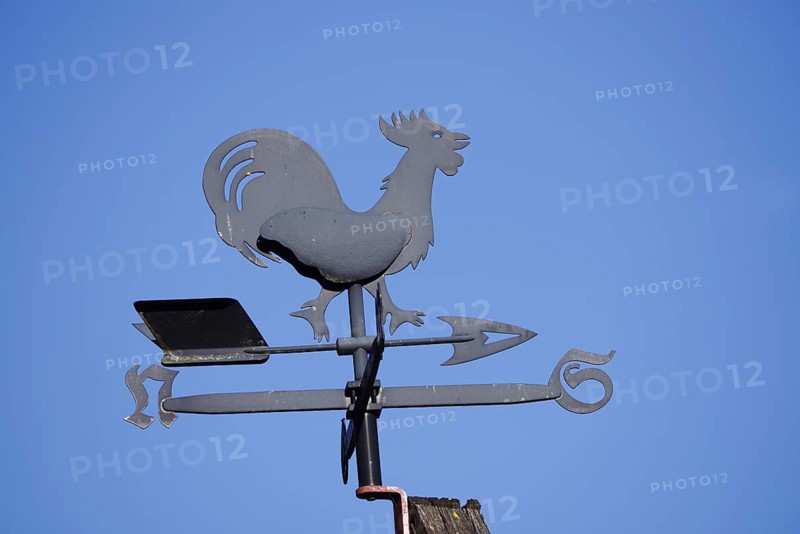 Weathercock or weather vane on house roof, Lower Saxony, Germany