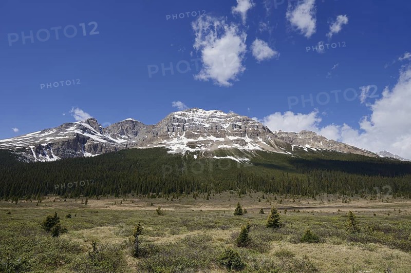 Canadian Rocky Mountains, Icefields Parkway, Banff National Park, Alberta, Canada