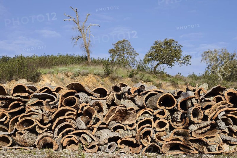Stacked bark of the cork oak (Quercus suber), cork, Algarve, Portugal