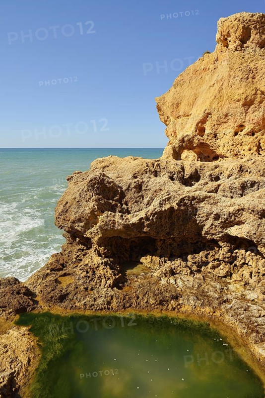 Rocky coastline with tidal duck, Carvoeiro, Algarve, Portugal
