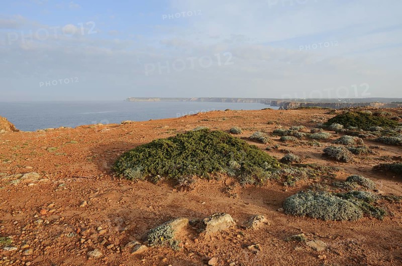 Coastal landscape, Sagres, Algarve, Portugal