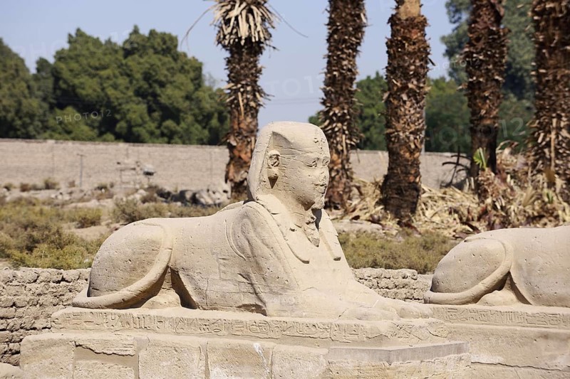 Sphinx, Luxor Temple, Luxor, Egypt
