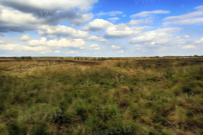 Heath landscape, blurred, Cumulus, Diepholz, Lower Saxony, Germany