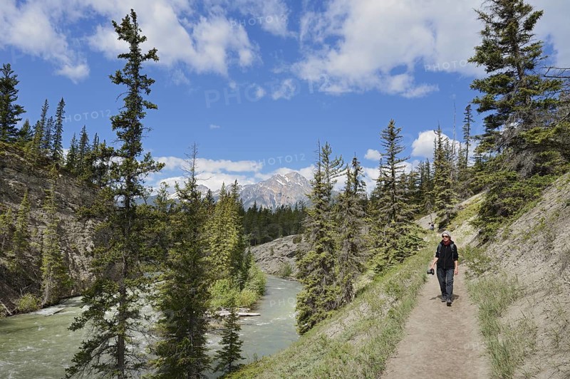 Hiking trail along the Maligne River, Maligne Canyon, Jasper National Park, Alberta, Canada