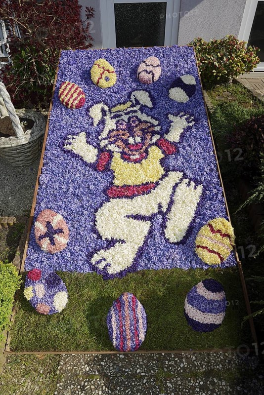 Flower mosaic of hyacinth blossoms, De Zilk, South Holland, Netherlands