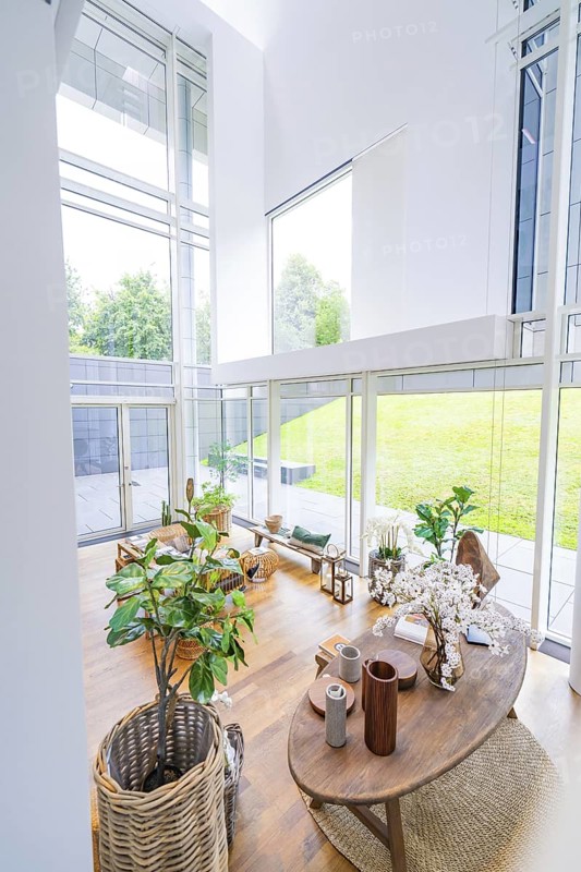 Bright room with plants and decorations, flooded with daylight through large windows, Frieder Burda Museum, Baden Baden, Germany