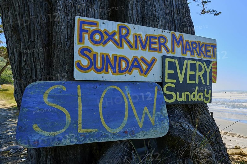 Colourful signs on a tree overlooking the beach, Fox River, West Coast, South Island, New Zealand