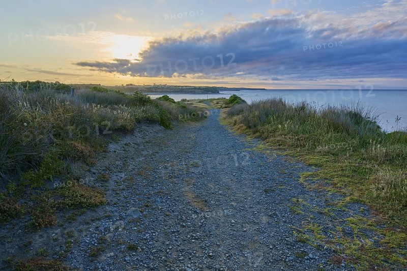 Pebble path along the coast at sunset, clouds and grass in the foreground, summer, Opunake, Taranaki, North Island, New Zealand