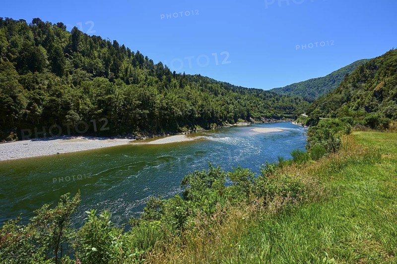 River course surrounded by dense vegetation and green forests in bright daylight, Kilkenny Lookout, Lower Buller Gorge, Buller River, South Island, New Zealand