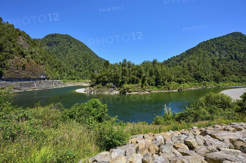 Clear river landscape surrounded by forested mountains and bright blue sky, Kilkenny Lookout, Lower Buller Gorge, Buller River, South Island, New Zealand