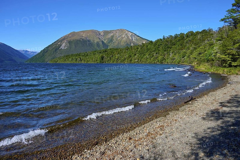 Clear water lapping at a pebbly shore, surrounded by green forests and majestic mountains, summer, Lake Rotoiti, Saint Arnaud, Tasman Region, South Island, New Zealand