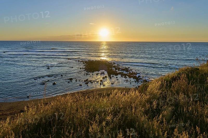 Coastal landscape at sunset, grass in the foreground and the sea in the background, summer, Opunake, Taranaki, North Island, New Zealand