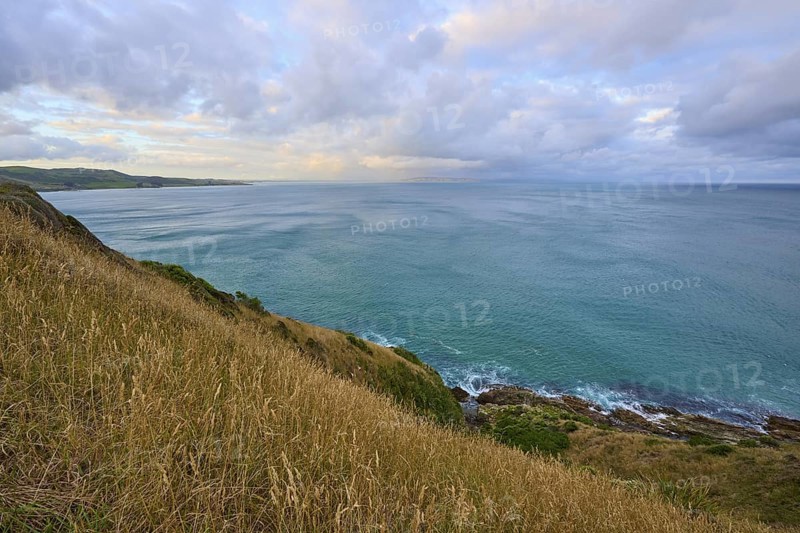 Calm seascape with grassy hill and wide horizon, summer, Nugget Point lighthouse, Ahuriri Flat, Otago, South Island, New Zealand