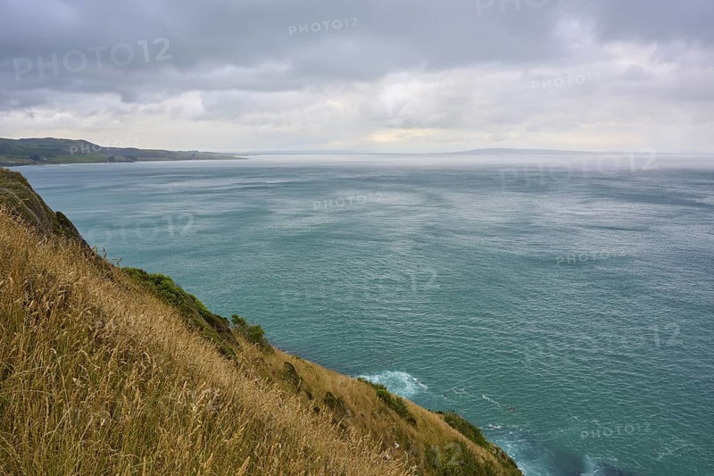 Wide sea view with grassy coast under cloudy sky, summer, Nugget Point lighthouse, Ahuriri Flat, Otago, South Island, New Zealand