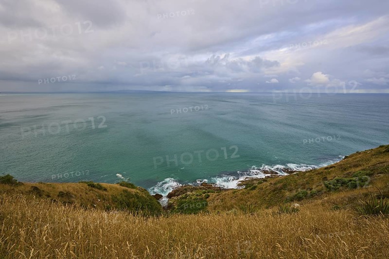 View of the open sea and the coast from grassy cliffs, summer, Nugget Point lighthouse, Ahuriri Flat, Otago, South Island, New Zealand