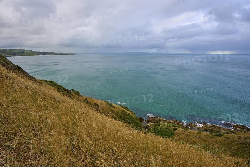 Sweeping views over the sea from grassy cliffs under a cloudy sky, summer, Nugget Point Lighthouse, Ahuriri Flat, Otago, South Island, New Zealand