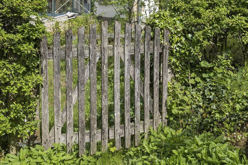 Old garden gate made of weathered wood, North Rhine-Westphalia, Germany
