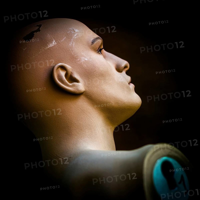 A mannequin head is positioned at an artistic angle against a dark background, showcasing its detailed facial features and smooth skin. The lighting creates intriguing shadows, enhancing its form