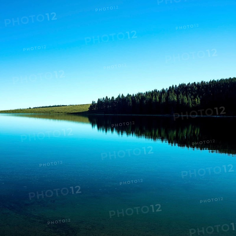 A tranquil lake mirrors the vibrant blue of the sky while a dense forest borders its edge. Lake Servieres, Puy de Dome, Auvergne, France