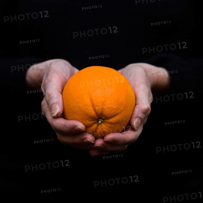 Delicate hands grip a bright orange, highlighting its smooth skin and natural curves. The dark background enhances the vivid hue, creating a striking visual focus