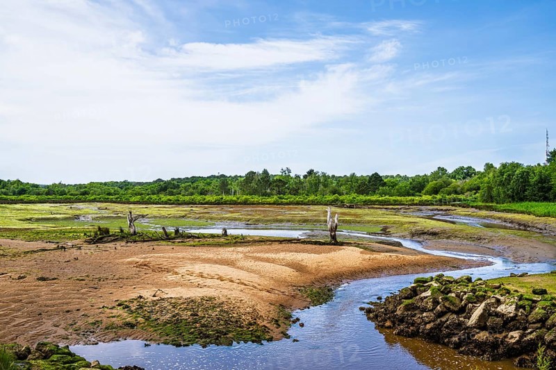 Marshes in La Teste-de-Buch, Arcachon, Gironde, France