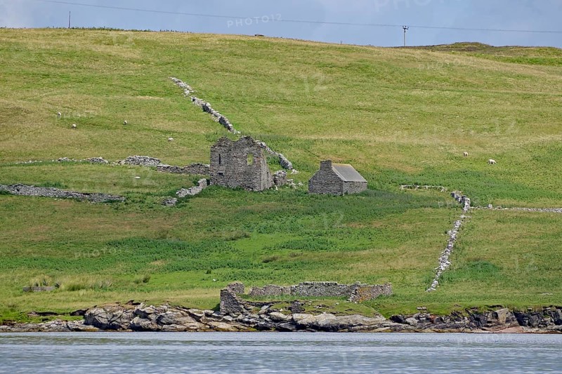 Stone ruins lie in a green hilly landscape, Noss, Shetland Islands, Scotland, Great Britain
