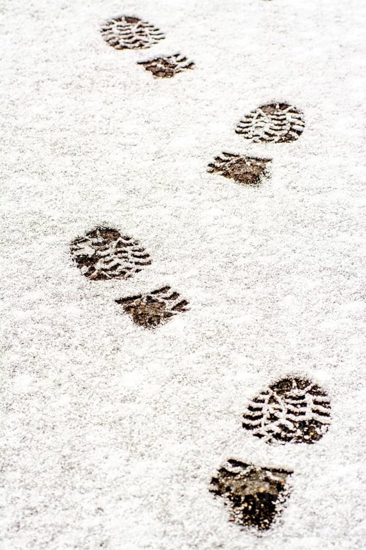 Tracks left by boots in freshly fallen snow reveal a path through a serene winter environment. The white ground is untouched apart from the footprints leading away