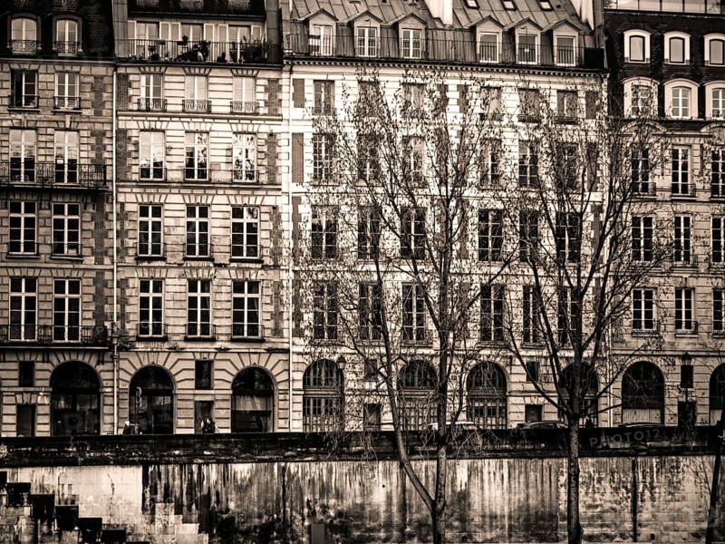 Rows of vintage buildings line the riverbank in Paris, showcasing intricate designs and tall windows. Leafless trees create a nostalgic atmosphere on an overcast day in the European city. France