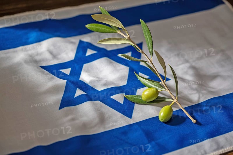 Olive branch placed on Israeli flag. Symbol of peace, diplomacy, and hope for resolution in Israel. Generative Ai, AI generated